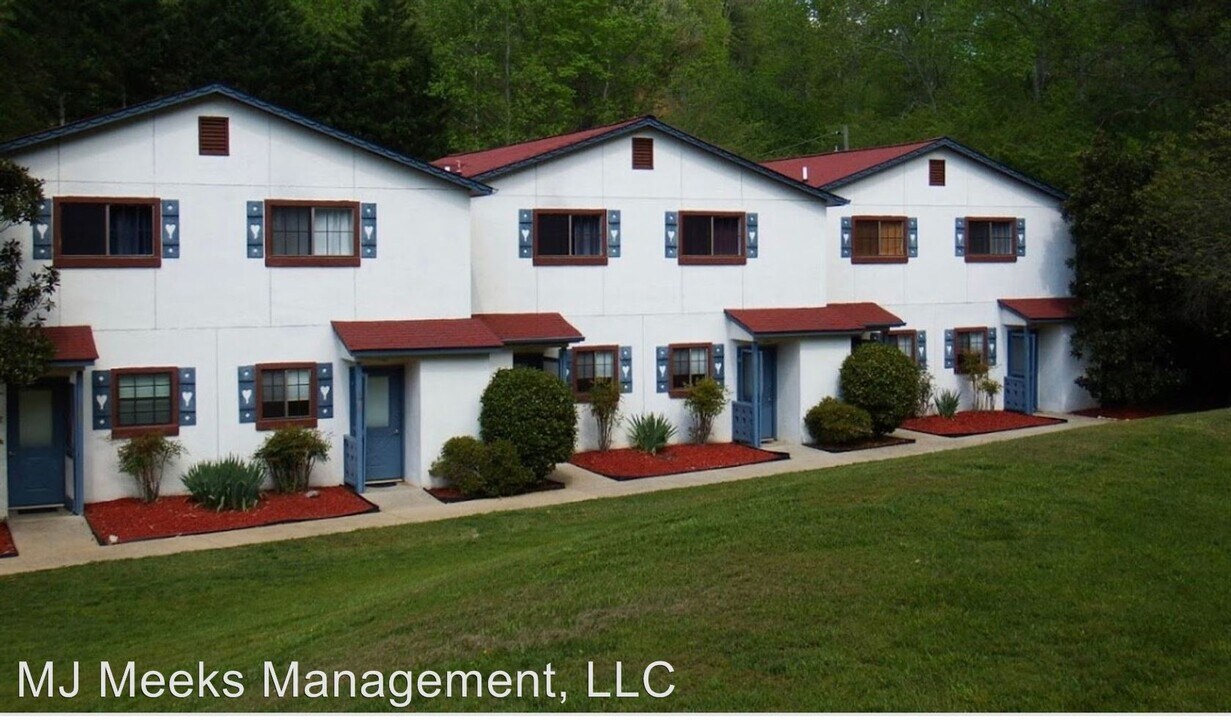 426 Brucken Strasse in Helen, GA - Building Photo