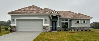 203 W Mickey Mantle Path in Hernando, FL - Building Photo