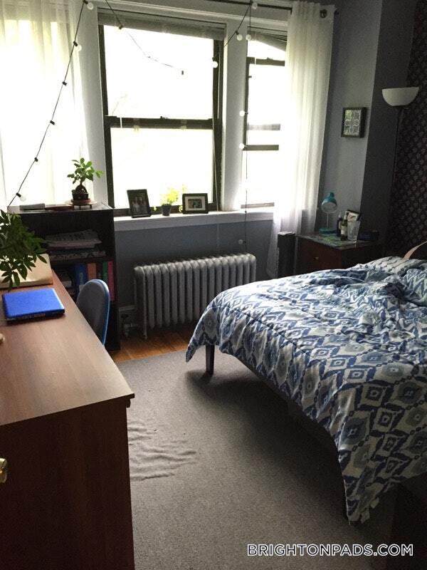 27 Egremont Rd, Unit 4 in Boston, MA - Building Photo - Building Photo