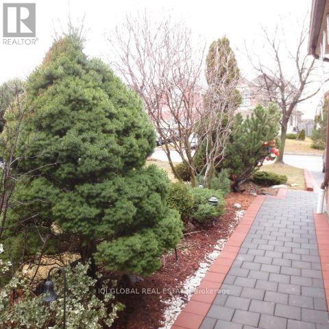 33 Dewberry Dr in Markham, ON - Building Photo - Building Photo