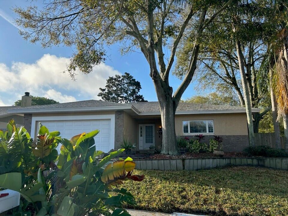 2282 Grovecrest Ave in Palm Harbor, FL - Building Photo