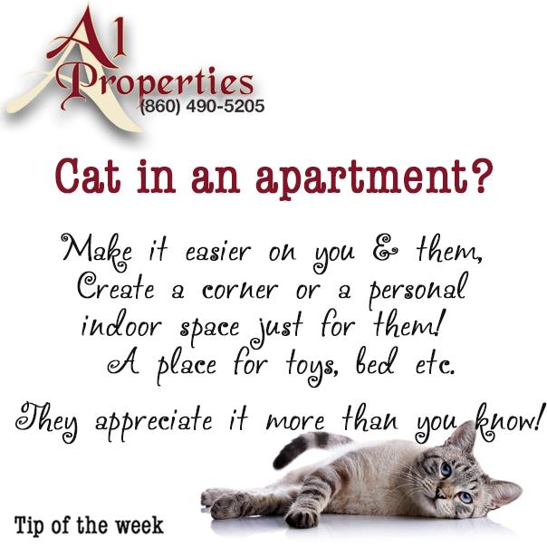 A1 Properties