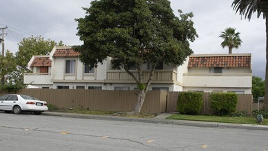 37611 Murietta Ter in Fremont, CA - Building Photo - Building Photo