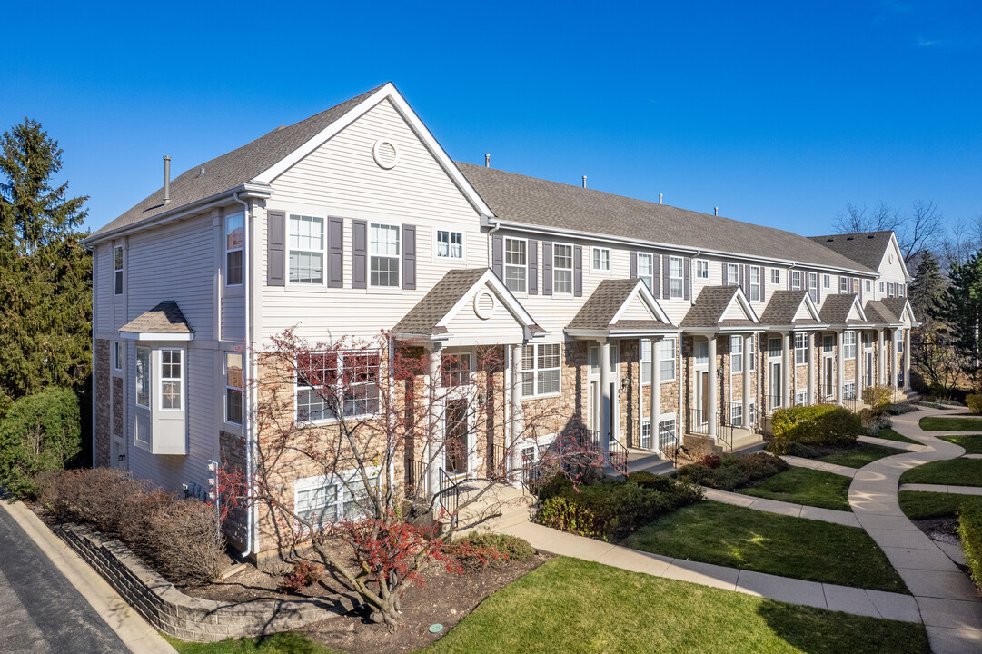 Insignia Court in Palatine, IL - Building Photo