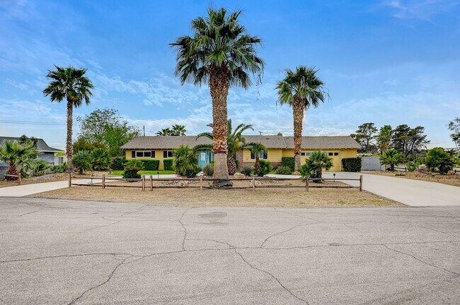 4669 Saddle Pl in Las Vegas, NV - Building Photo - Building Photo