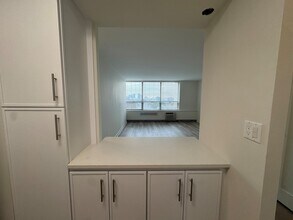 70 W Burton Pl, Unit 1108F in Chicago, IL - Building Photo - Building Photo