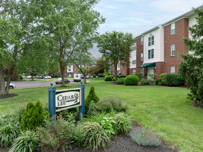 Cedar Lee Condominiums in Bealeton, VA - Building Photo - Building Photo