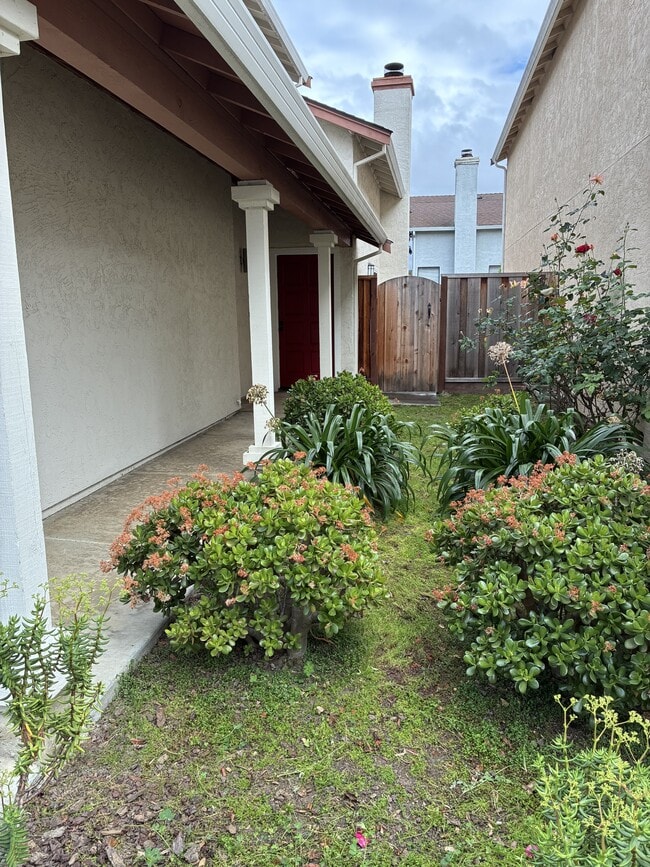 706 Ridgeview Terrace in Fremont, CA - Building Photo - Building Photo