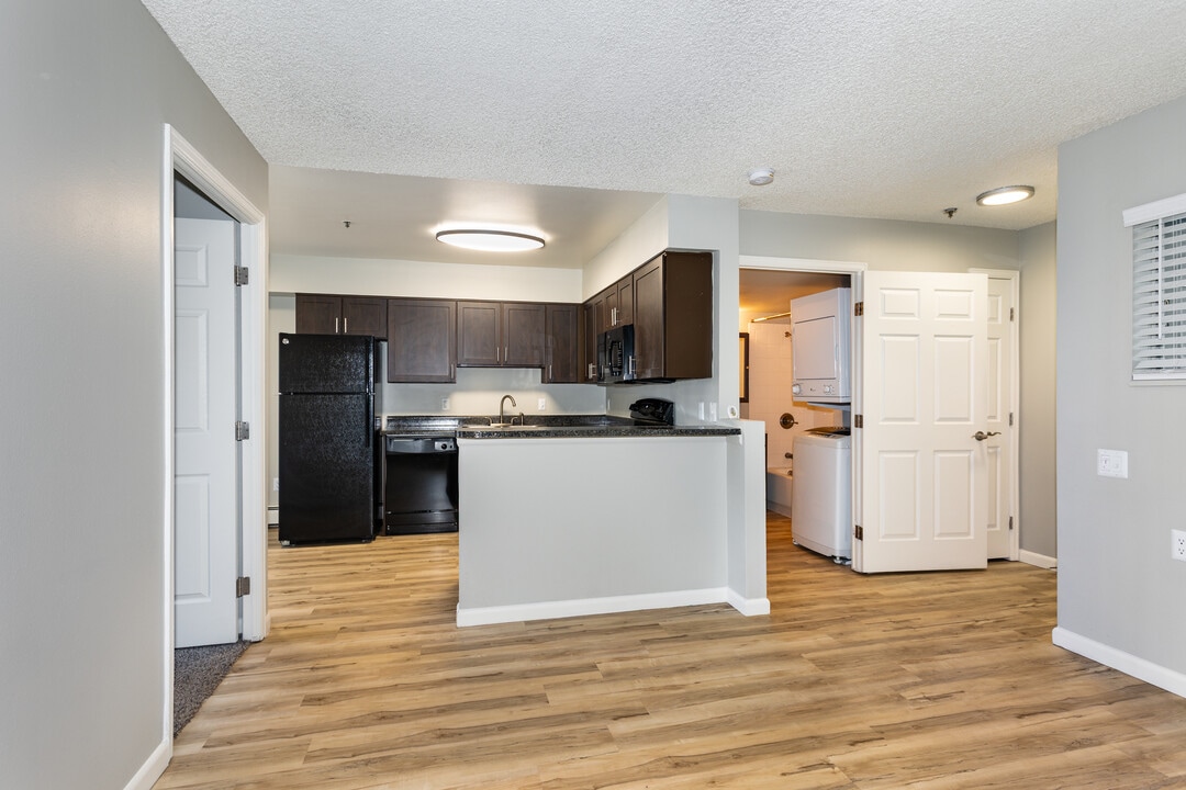 Albion Court Apartments in Denver, CO - Building Photo