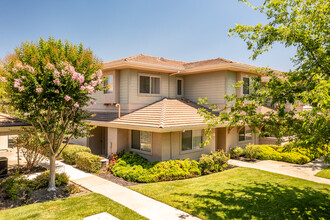 Saratoga West Apartments in Davis, CA - Building Photo - Building Photo