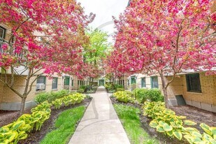 4314 N Clarendon Ave in Chicago, IL - Building Photo