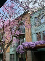 La Stella Apartments in Portland, OR - Building Photo