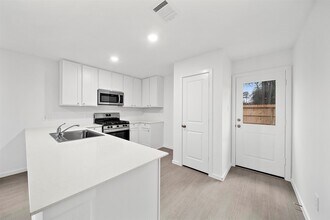 22675 Downy Hawthorn Dr in New Caney, TX - Building Photo - Building Photo