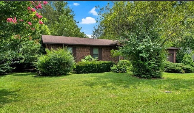 property at 809 Clifford Dr