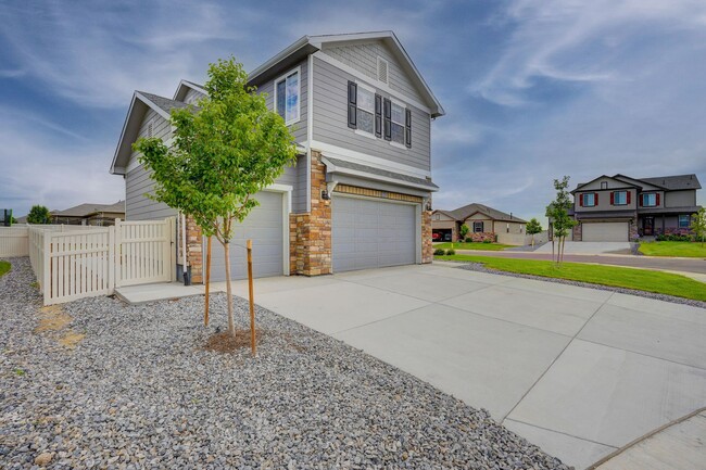 5471 Scenic Ave in Longmont, CO - Building Photo - Building Photo