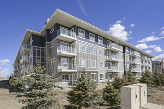 92 Cornerstone Pass NE in Calgary, AB - Building Photo - Building Photo