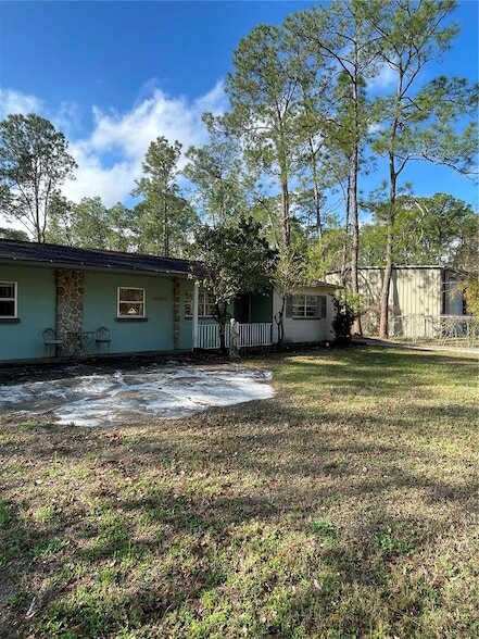 27644 Green Willow Run in Wesley Chapel, FL - Building Photo - Building Photo