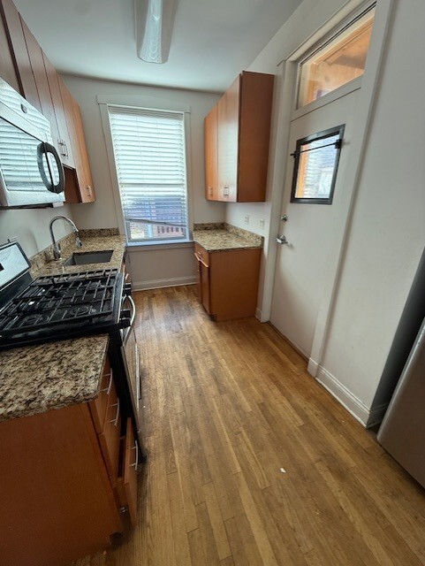 2139 W Lunt Ave in Chicago, IL - Building Photo - Building Photo