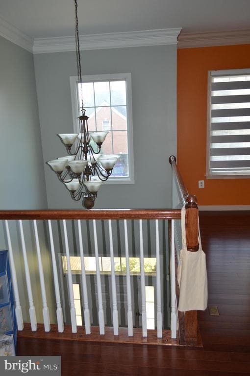 43308 Barnstead Dr in Ashburn, VA - Building Photo - Building Photo