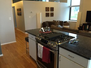 811 S Lytle St, Unit 618 in Chicago, IL - Building Photo - Building Photo