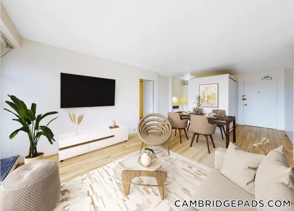 29 Concord Ave in Cambridge, MA - Building Photo
