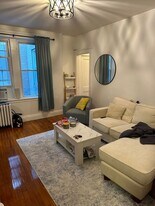 109 Brainerd Rd in Boston, MA - Building Photo