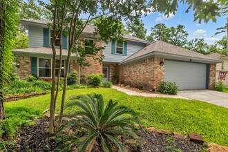 9 Diamond Oak Ct in Spring, TX - Building Photo - Building Photo