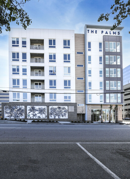 The Palms 1101 in Columbia, SC - Foto de edificio