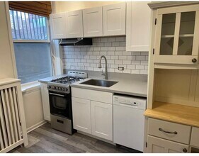 3646 N Pine Grove Ave, Unit 1 in Chicago, IL - Building Photo - Building Photo
