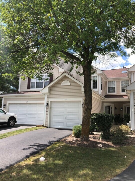 125 Capella Ct in Lake In The Hills, IL - Building Photo