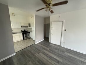 901 W 19th St, Unit 3rd Floor in Chicago, IL - Building Photo - Building Photo