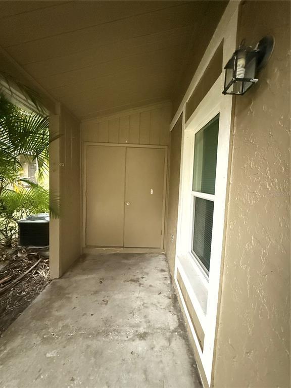 14311 Hanging Moss Cir in Tampa, FL - Building Photo - Building Photo