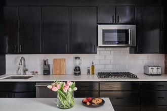 Common Hamilton (Furnished Rooms) in New York, NY - Building Photo - Building Photo