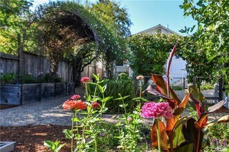 1445 Tainter St in St Helena, CA - Building Photo - Building Photo