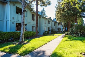 Vintage Pointe Apartments in Rohnert Park, CA - Building Photo - Building Photo