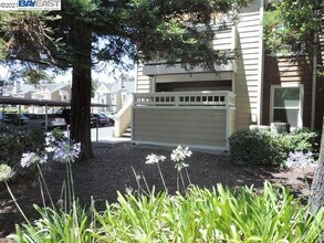 235 Reflections Dr in San Ramon, CA - Building Photo - Building Photo