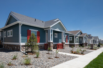 Avilla Eastlake in Thornton, CO - Building Photo - Building Photo