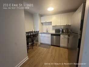 233 E Erie St in Chicago, IL - Building Photo - Building Photo