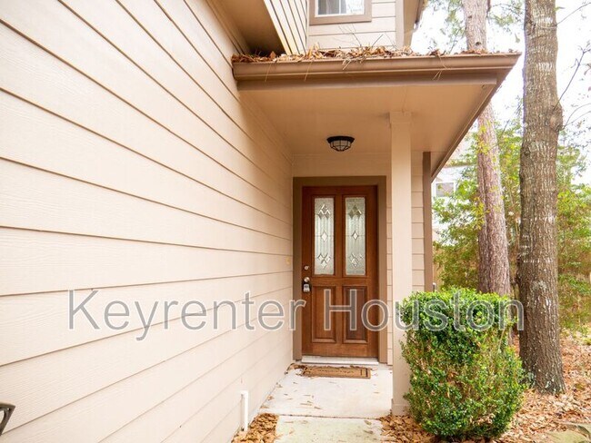 47 Wickerdale Pl in The Woodlands, TX - Building Photo - Building Photo