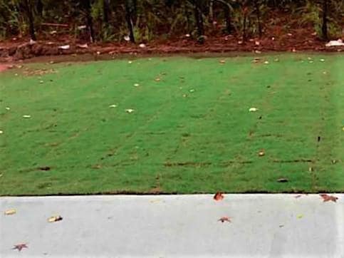 1225 Apple Blossom Dr in Cumming, GA - Building Photo - Building Photo