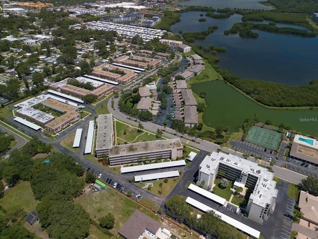 10038 62nd Ter in St. Petersburg, FL - Building Photo - Building Photo