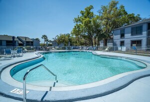 Hermitage Apartments in Valrico, FL - Building Photo
