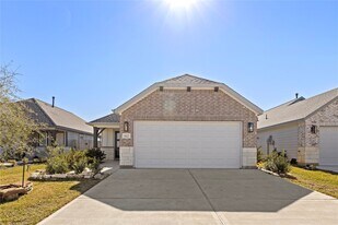 19027 Rising Mesquite St in Houston, TX - Building Photo