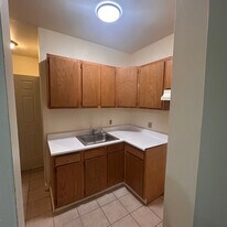 173 Chestnut St in Oneonta, NY - Building Photo