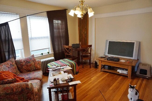 147 Forest Hills St in Boston, MA - Foto de edificio - Building Photo