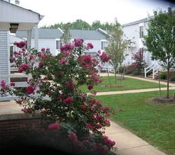 Inglewood Square in Charlottesville, VA - Building Photo