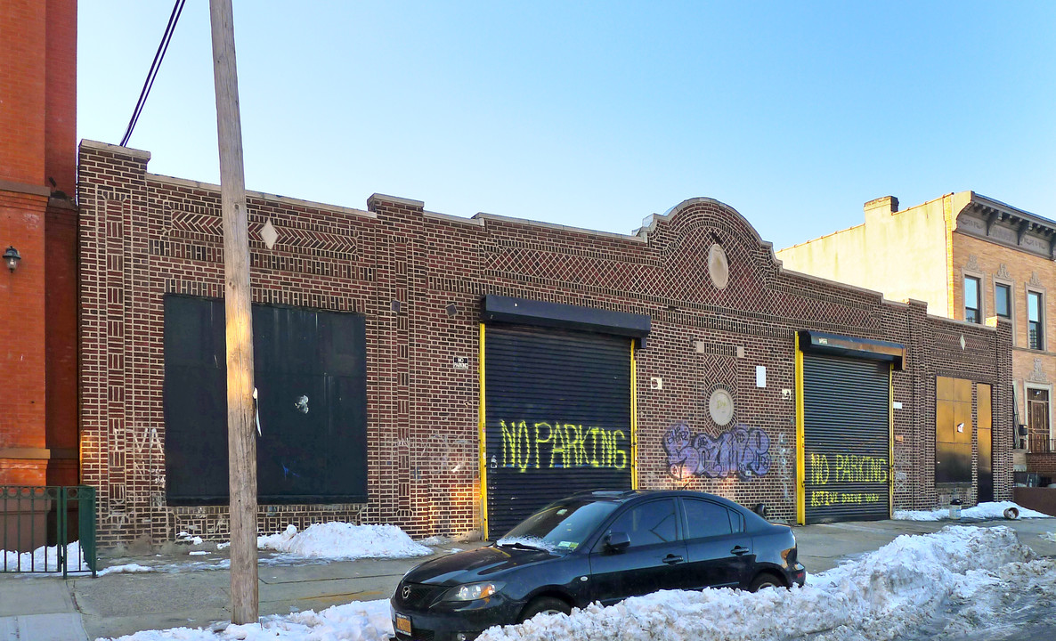 1038 Greene Ave in Brooklyn, NY - Building Photo