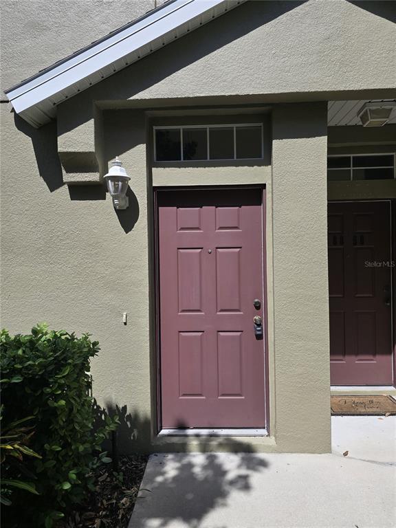 8860 Moonlit Meadows Loop in Riverview, FL - Building Photo - Building Photo