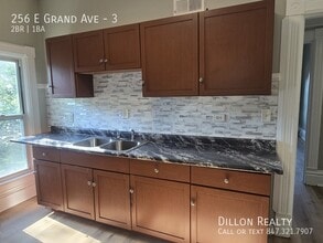 256 E Grand Ave in Fox Lake, IL - Building Photo - Building Photo