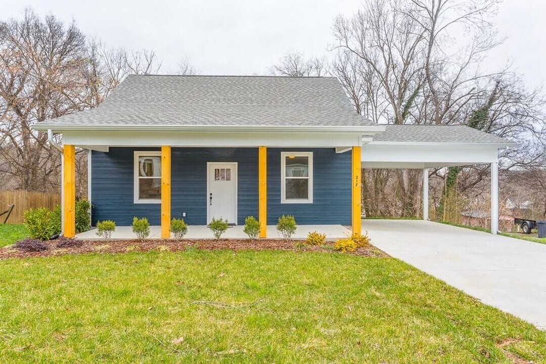 217 Vreeland St in Chattanooga, TN - Building Photo